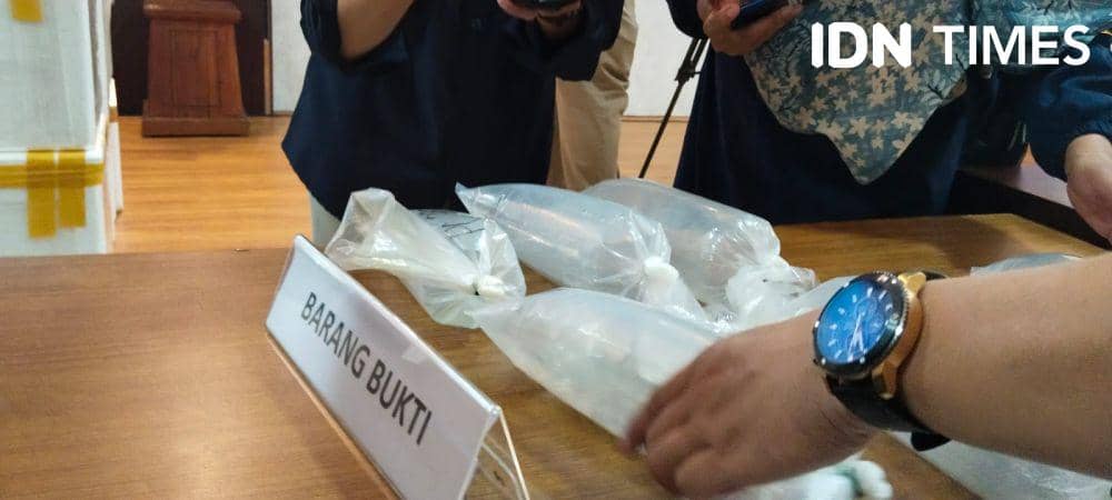 99 Ribu Benur Rp15 Miliar Gagal Diselundupkan ke Singapura