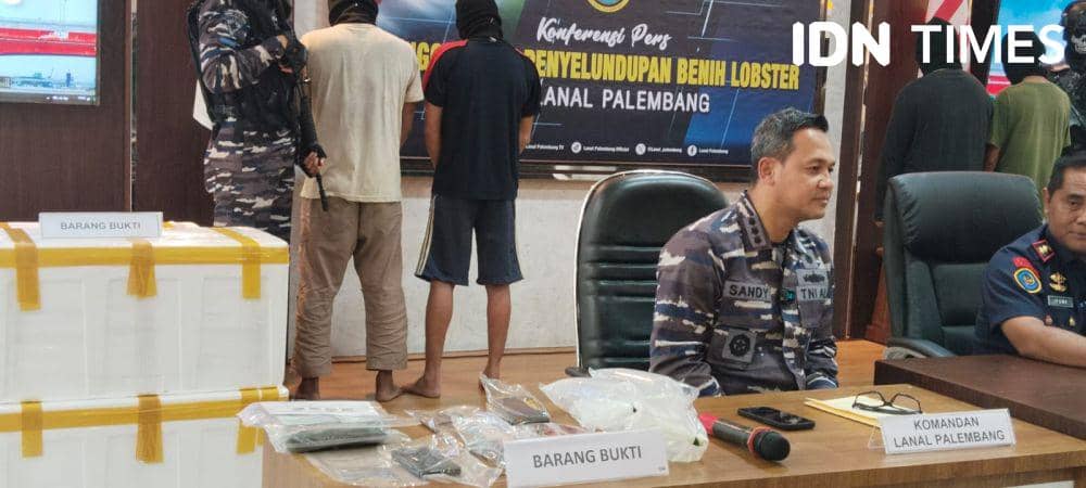 Barang bukti penyelundupan benih lobster (IDN Times/Feny Maulia Agustin)