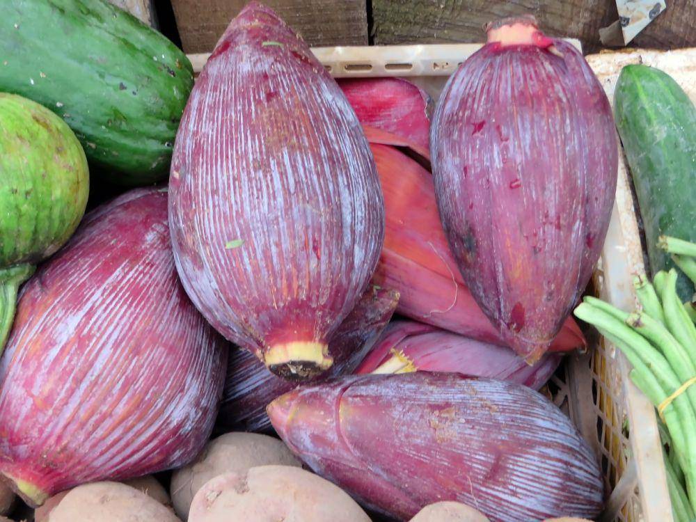 ilustrasi jantung pisang (pixabay.com/DEZALB)