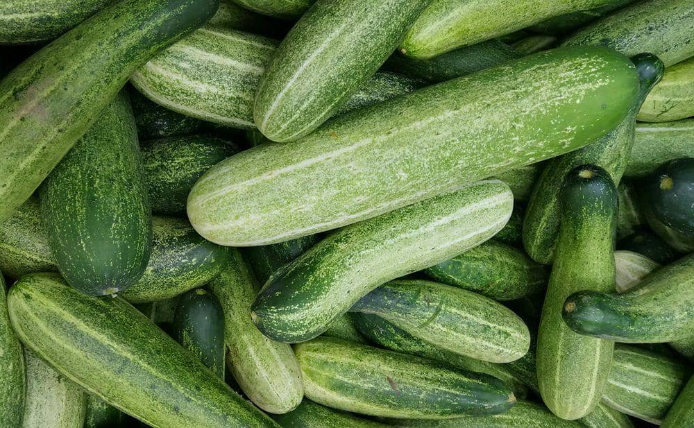 Perbedaan Timun Lokal, Timun Jepang, dan Zucchini | IDN Times