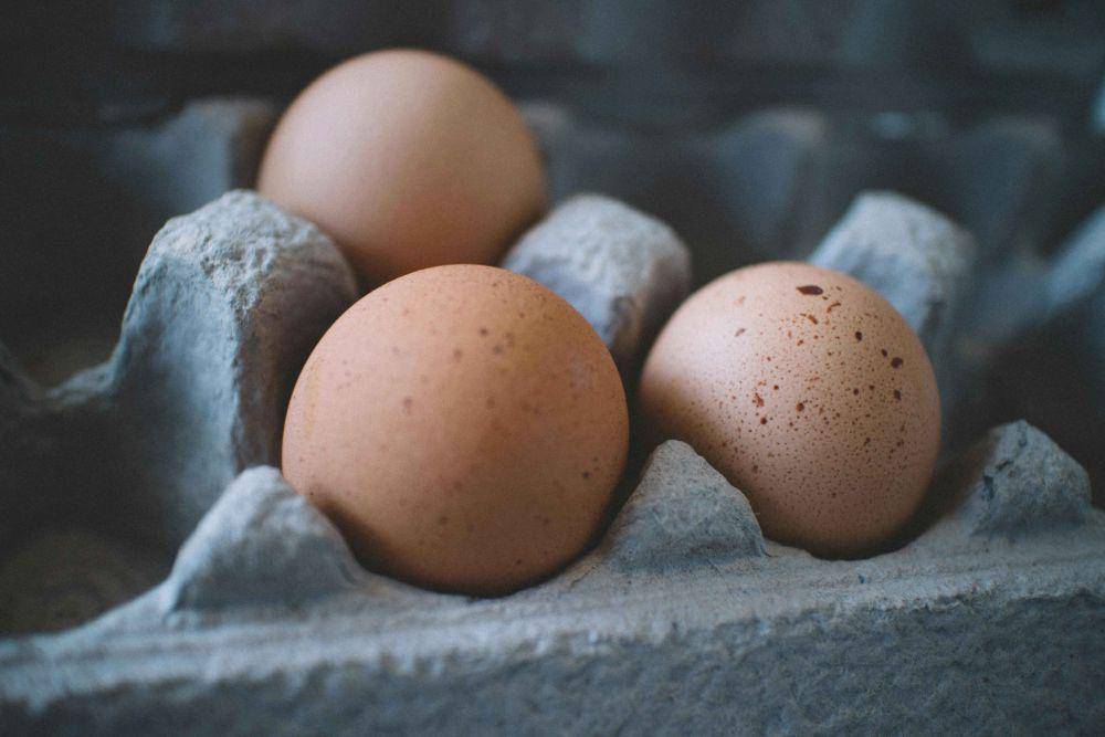 ilustrasi telur (pexels.com/monserratsoldu)