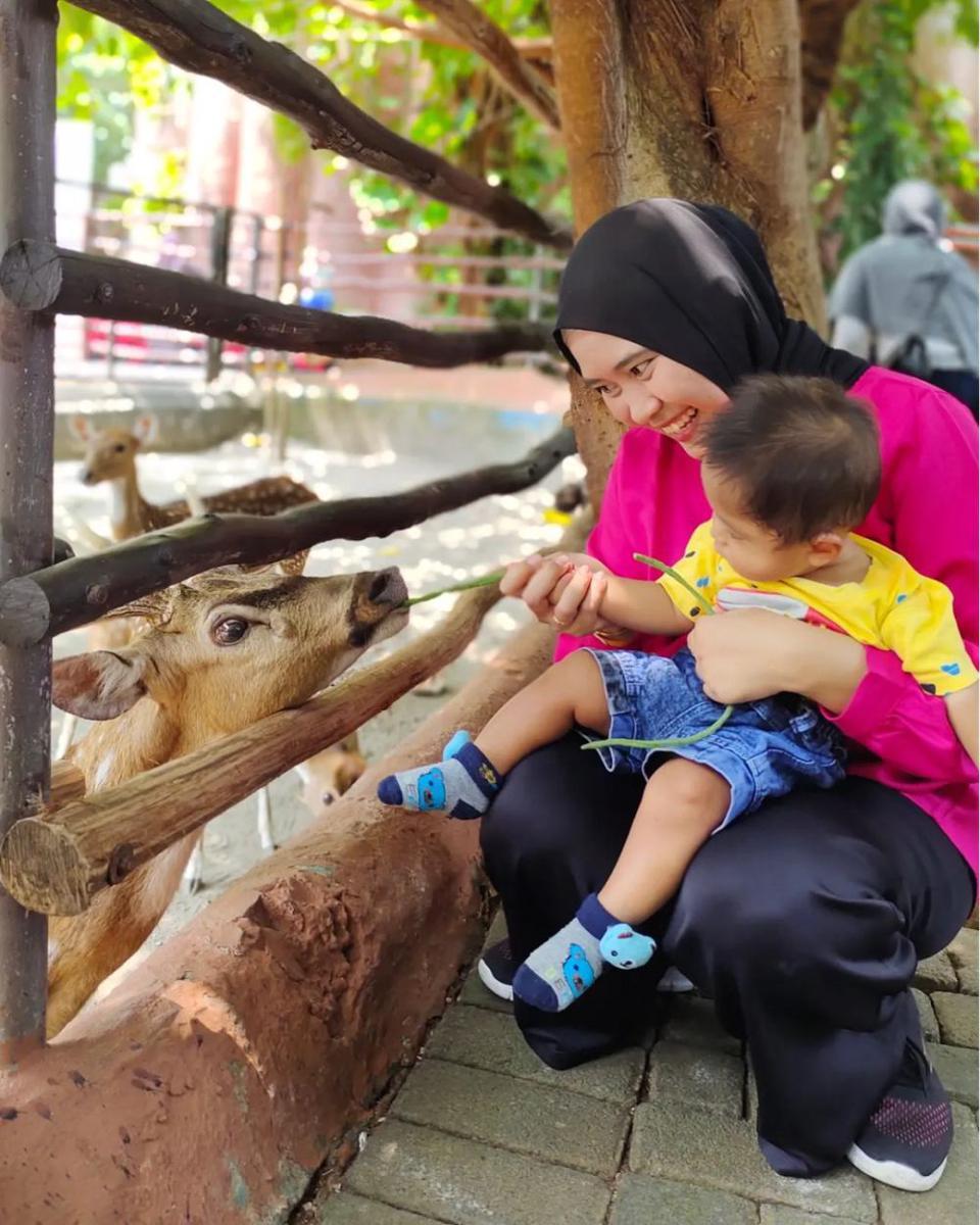 Maharani Zoo dan Goa Lamongan: Tiket Masuk, Lokasi dan Daya Tarik