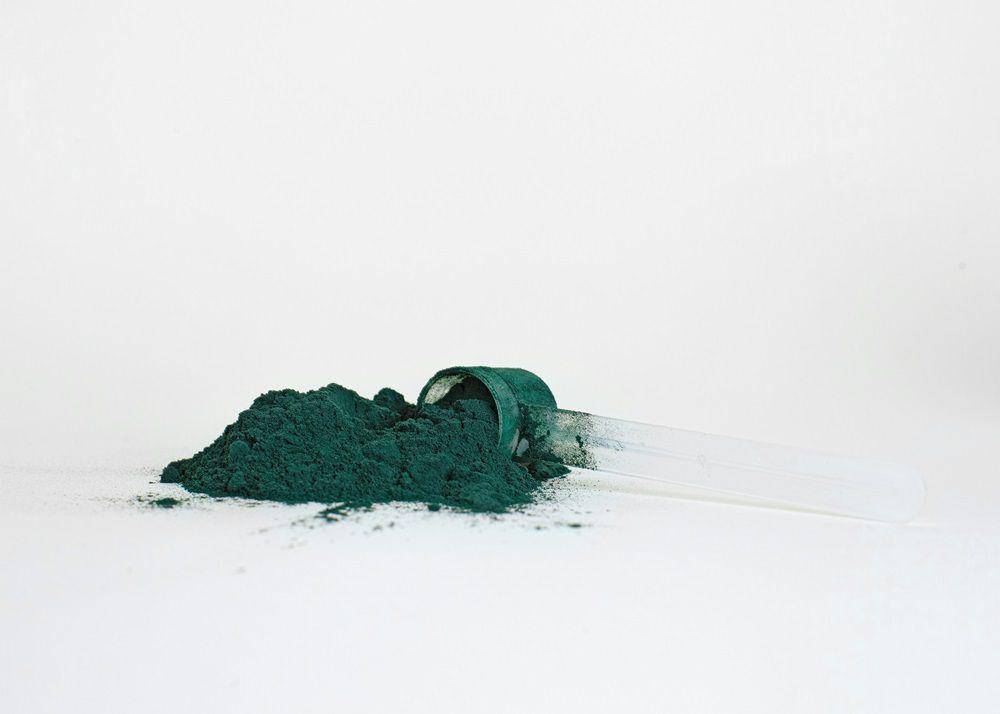 ilustrasi bubuk spirulina (unsplash.com/Supliful - Supplements On Demand)