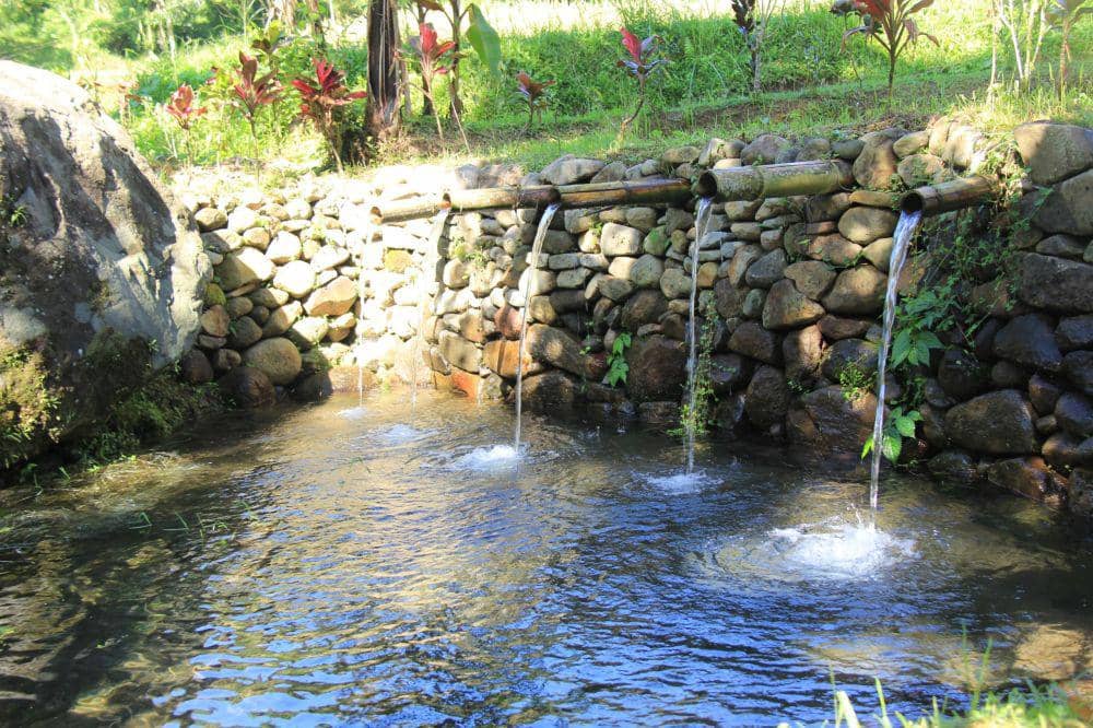 Campuhan untuk pemlukatan di Desa Jatiluwih (Dok.IDNTimes/Istimewa)