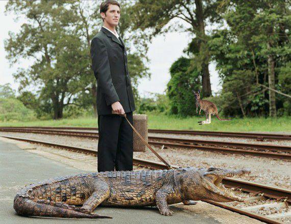 10 Potret Buaya dan Aligator Jadi Hewan Peliharaan, Memang Bisa?