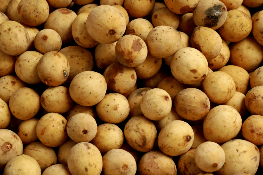 Potret buah duku matang (canva.com/Ratna Fitry)