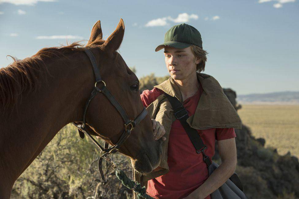 adegan film Lean on Pete (dok. A24/Lean on Pete)