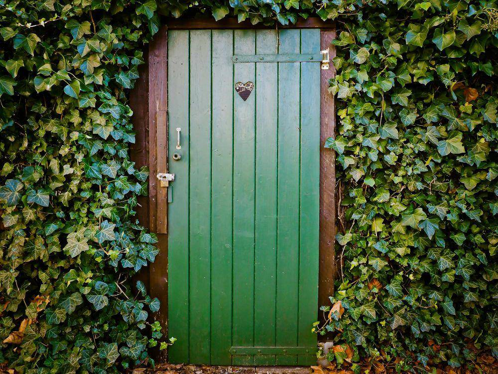 potret pintu dikelilingi dedaunan (pexels.com/@pixabay)
