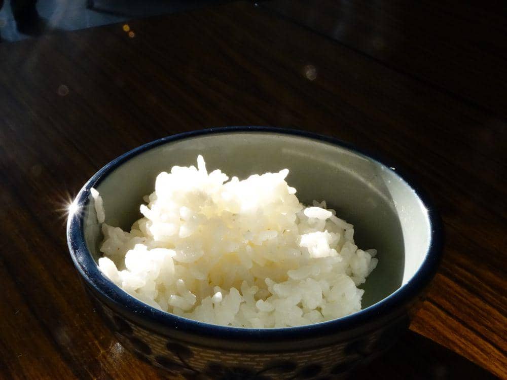 Potret nasi dingin