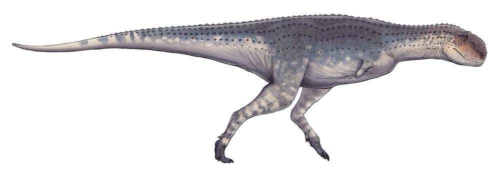 Ilustrasi Quilmesaurus, salah satu abelisauridae (commons.wikimedia.org/Paleocolour)
