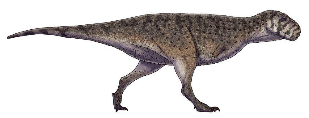 Ilustrasi Skorpiovenator, salah satu abelisauridae (commons.wikimedia.org/D-Juan)