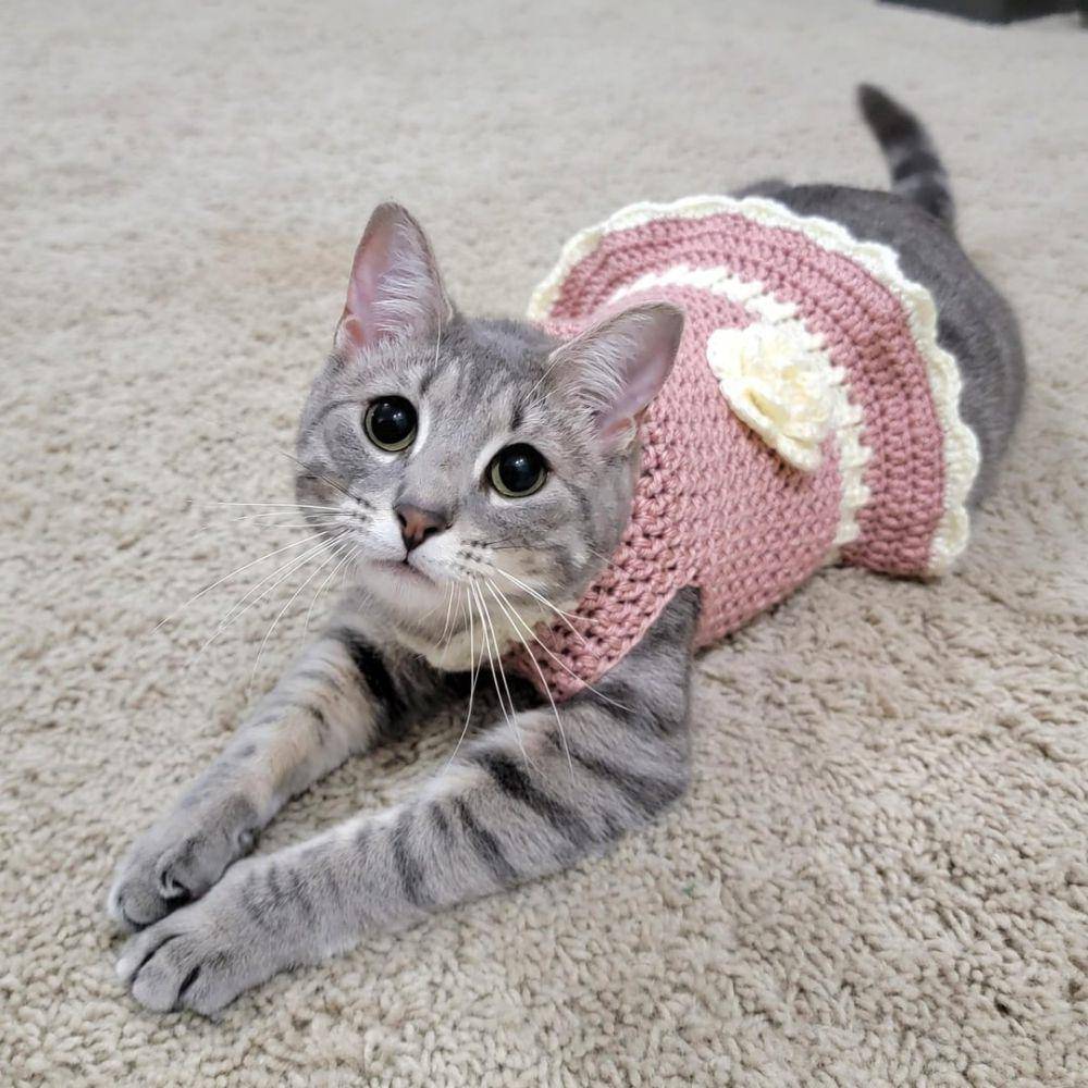 potret karya rajutan tangan untuk kucing (reddit.com/user/PookieDear)