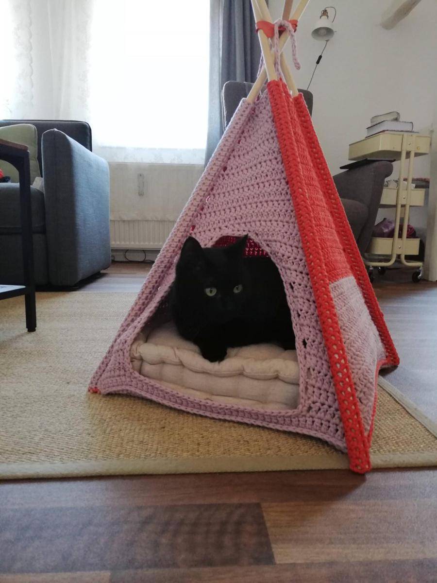 potret karya rajutan tangan untuk kucing (reddit.com/user/CaptainSafetyPants)
