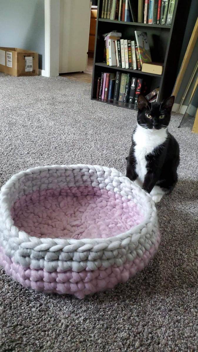 potret karya rajutan tangan untuk kucing (reddit.com/user/bellethebadass)