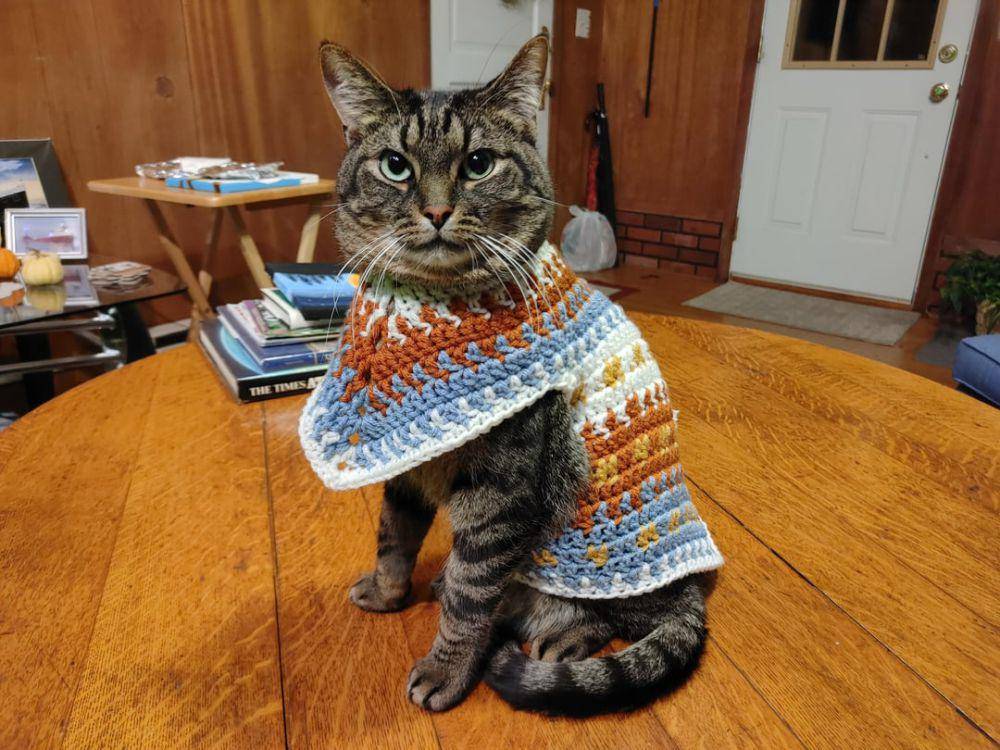 potret karya rajutan tangan untuk kucing (reddit.com/user/DKCGamerGirl)
