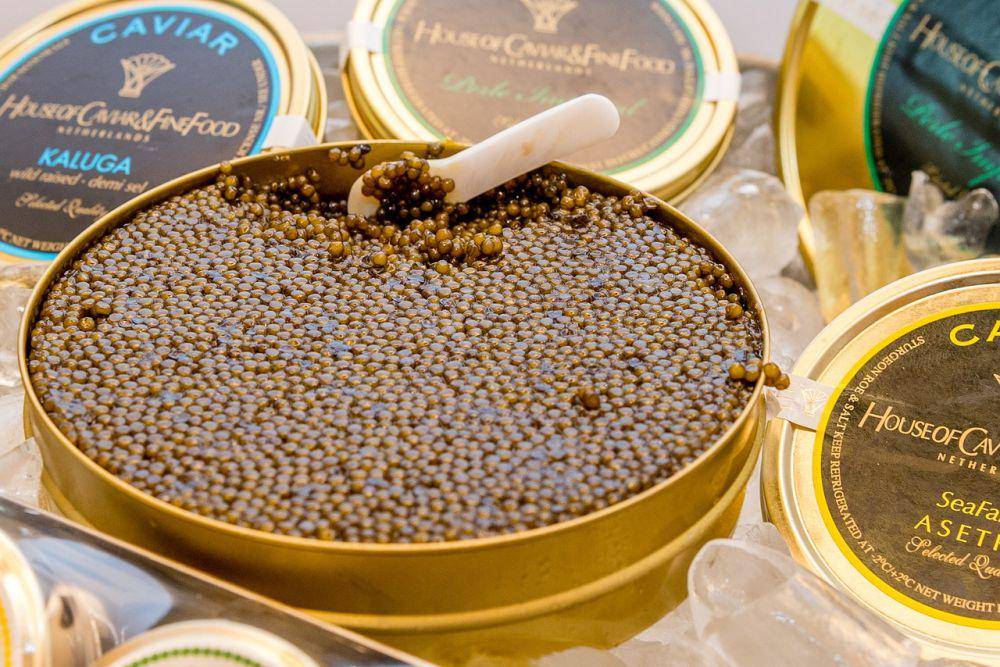ilustrasi set caviar (pixabay.com/Michael Weber)