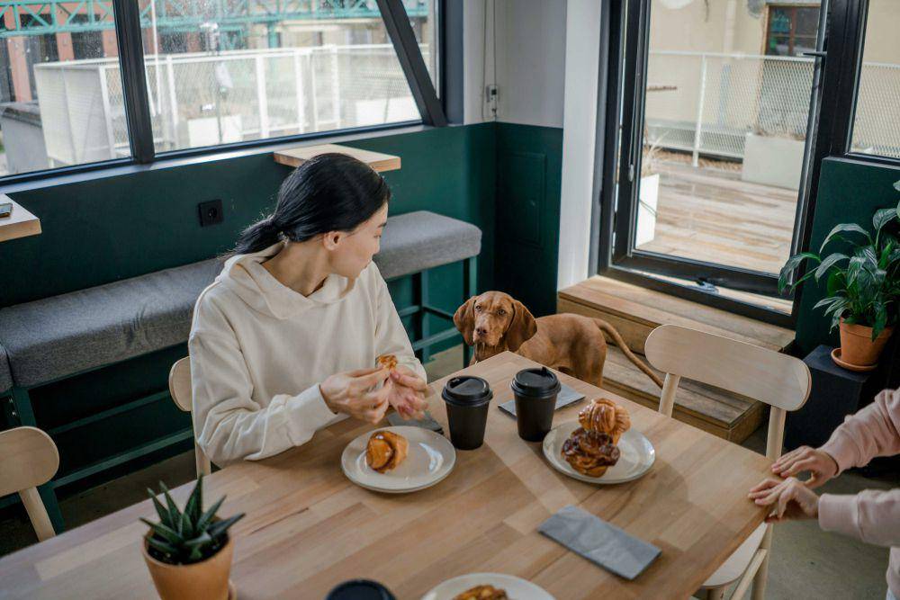 Ilustrasi nongkrong di kafe pastry (Pexels.com/Ron Lach)