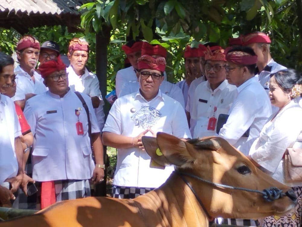 Bupati Tabanan, Komang Gede Sanjaya (tengah) saat memantau peternakan sapi sistem ngadas di Desa Selemadeg (Dok.IDNTimes/Istimewa)