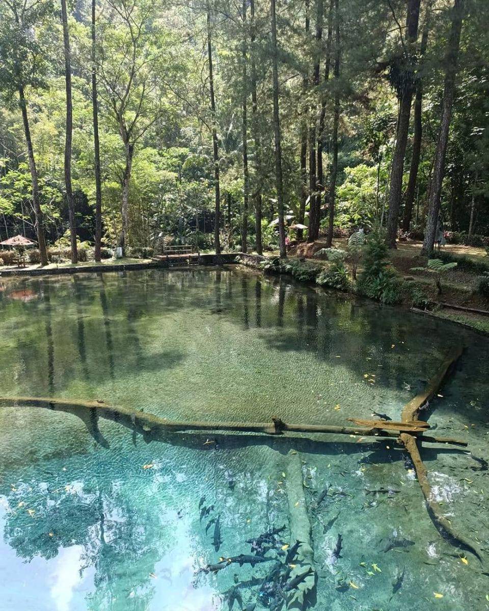 Telaga Rambut Monte (instagram.com/yanik.megawati)
