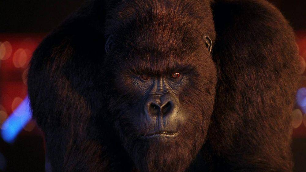 Joe Young (dok. Buena Vista Pictures/Mighty Joe Young)