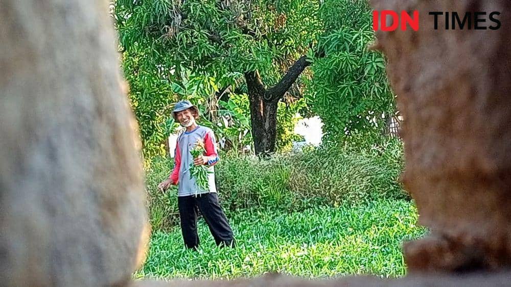 Sisihkan Rp50 Ribu/hari, Petani Kangkung asal Majalengka Naik Haji