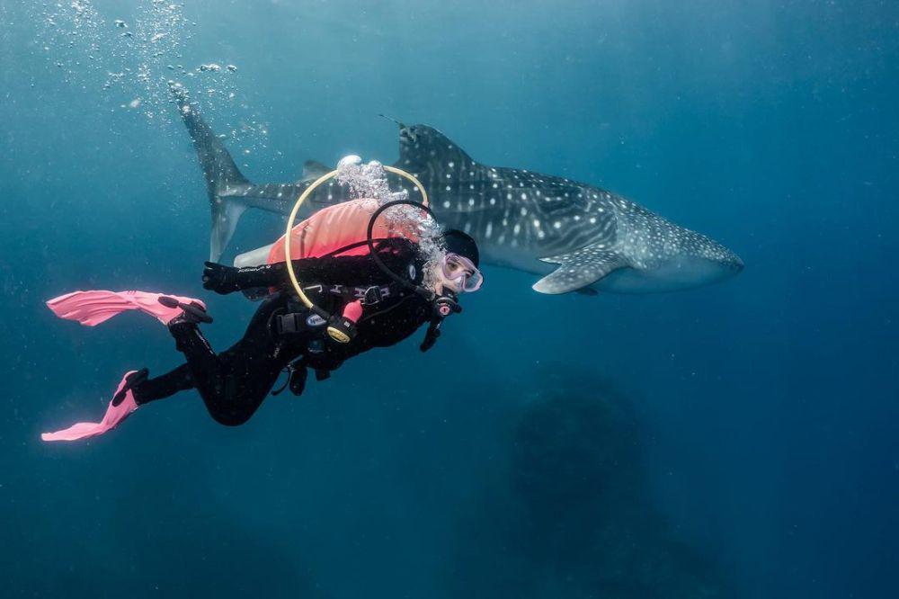 7 Potret Prilly Latuconsina Diving di Gorontalo, Ketemu Whale Shark!