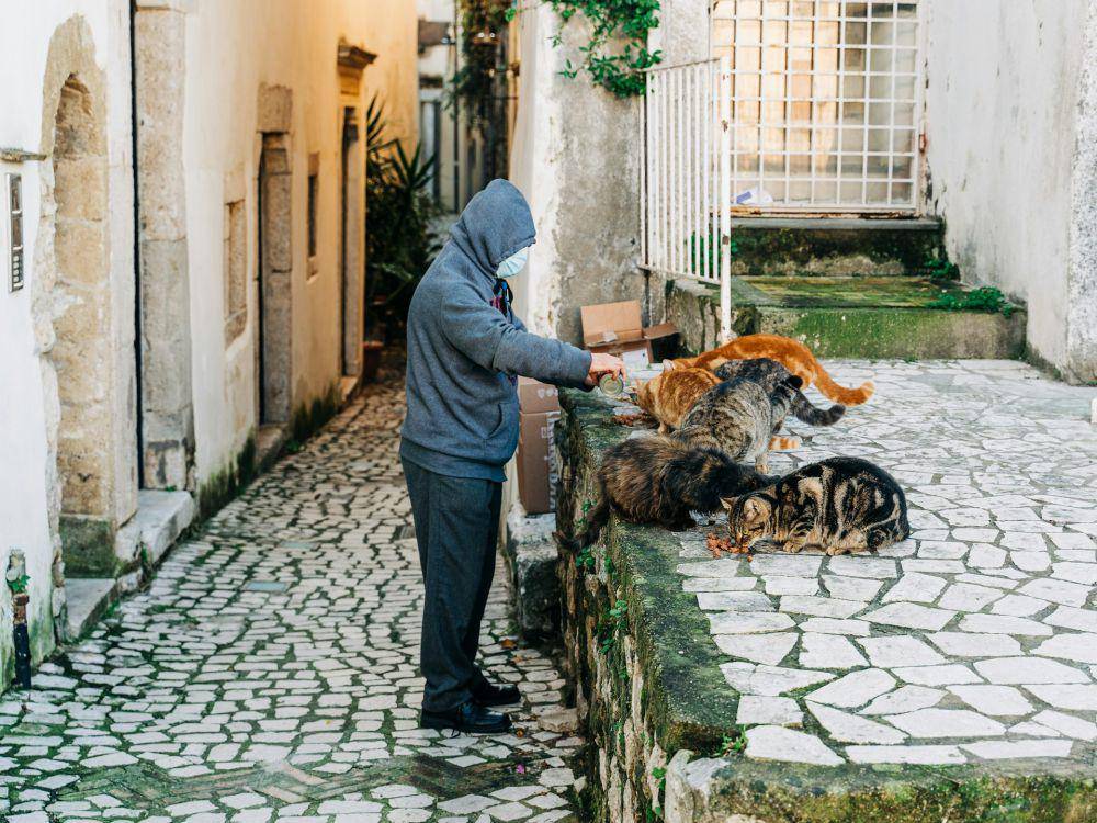 ilustrasi seorang pria memberi makan kucing jalanan (Unsplash/Gabriella Clare Marino)