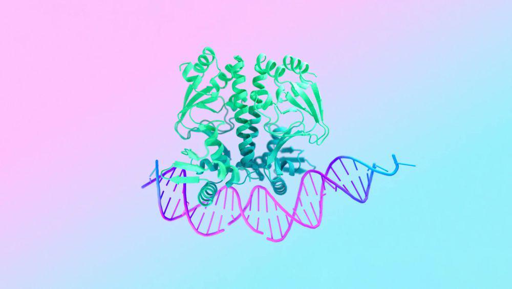 Google Rilis AlphaFold 3, AI untuk Prediksi Struktur Biomolekul