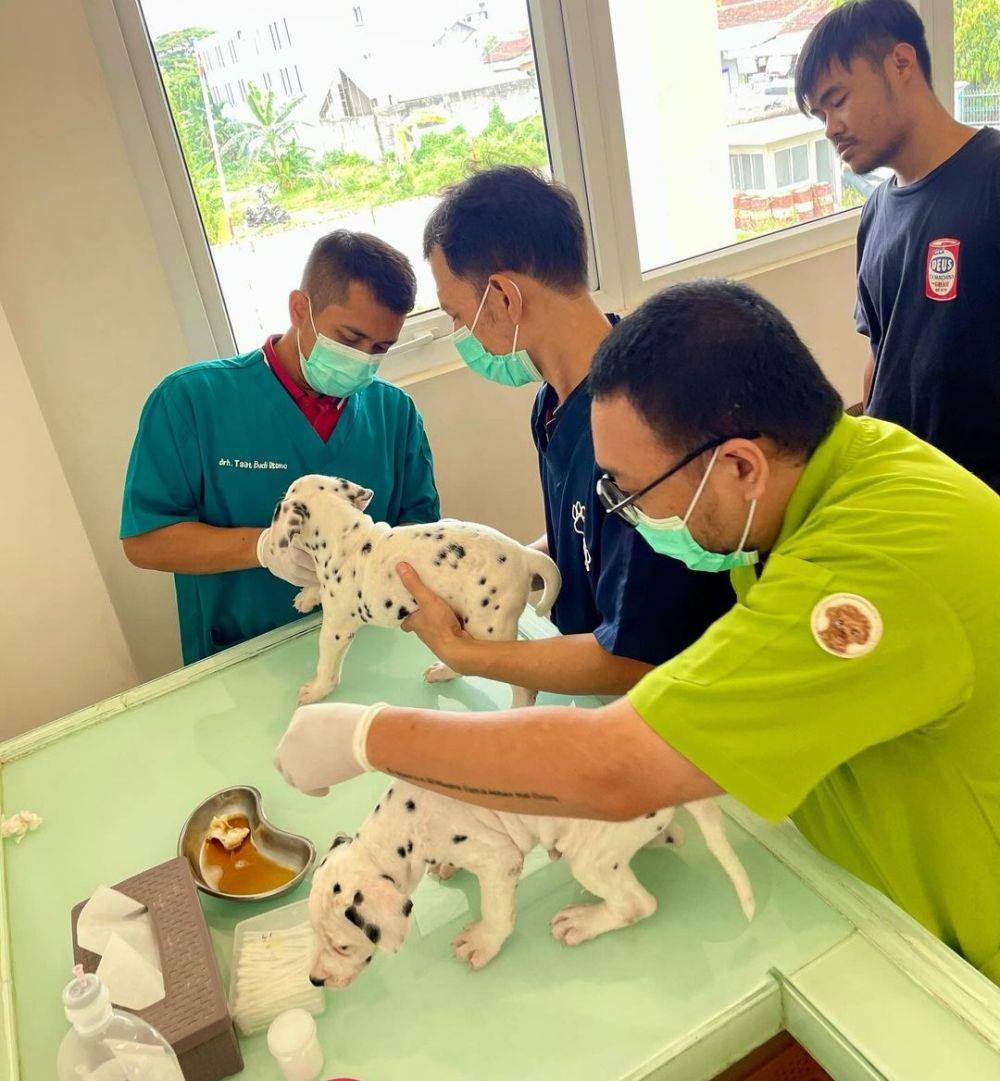 Instagram/ipetshopncare