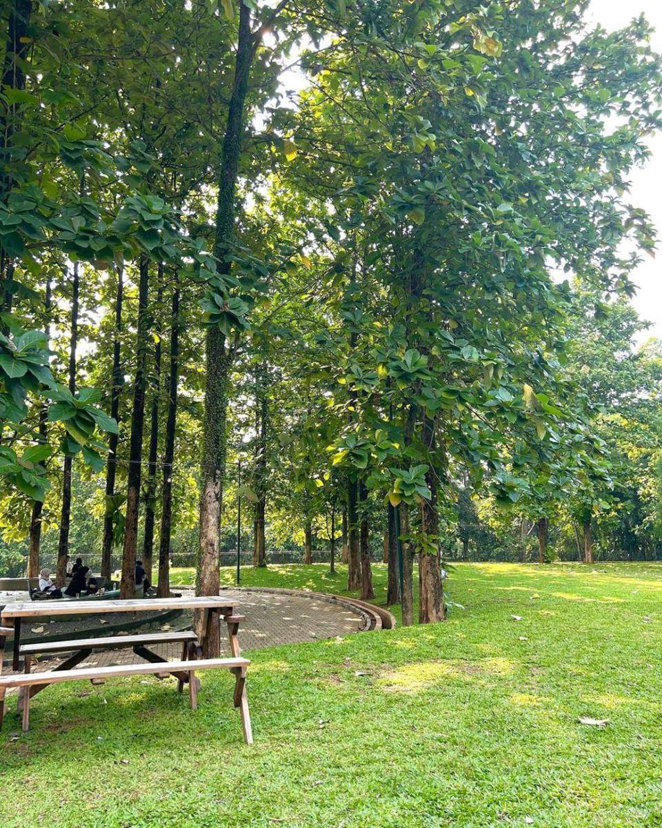 potret area Bandar Kopi (instagram.com/kodame.diary)