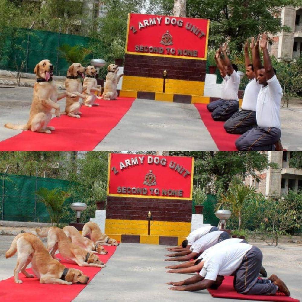potret hal unik bertema yoga (reddit.com/r/mildlyinteresting)