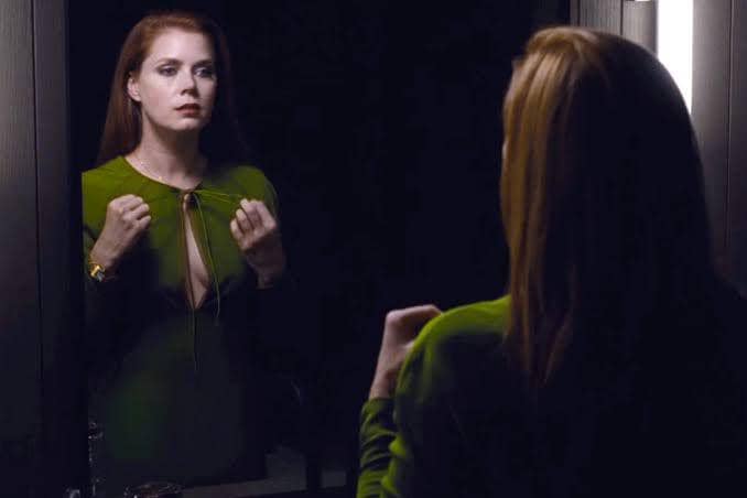 Nocturnal Animals (dok. Focus Features/Nocturnal Animals)