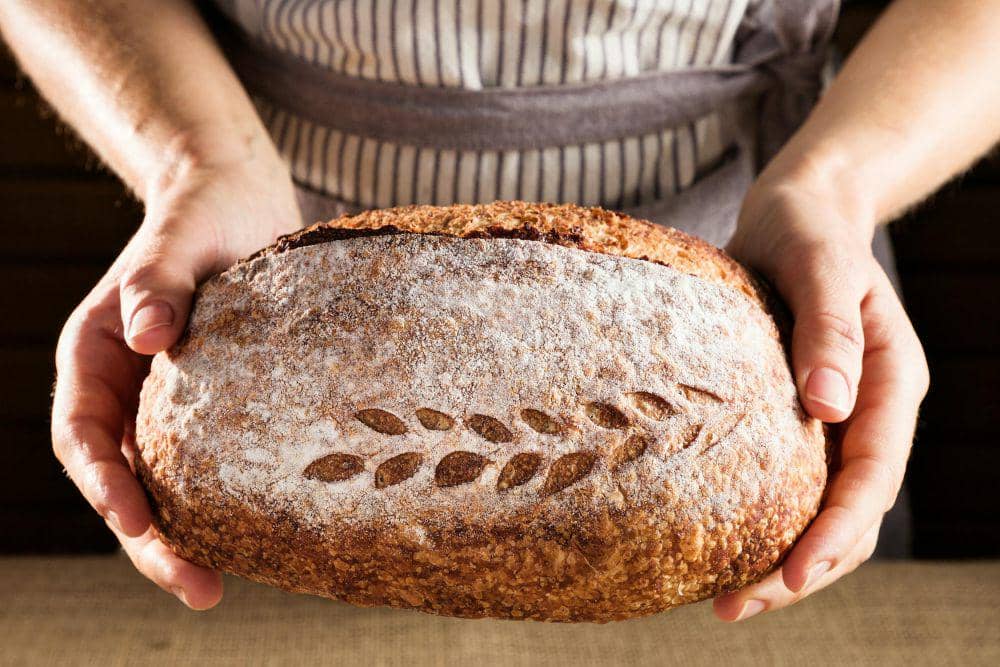 ilustrasi sourdough