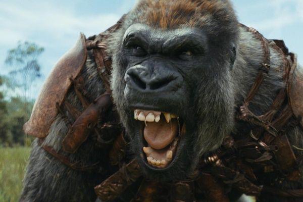 [QUIZ] Jadi Siapa Kamu di Film Kingdom of the Planet of the Apes?
