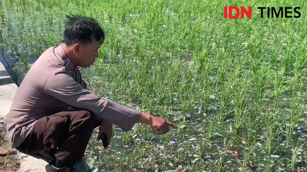 Lokasi balon udara berisi petasan meledak. IDN Times/ Riyanto