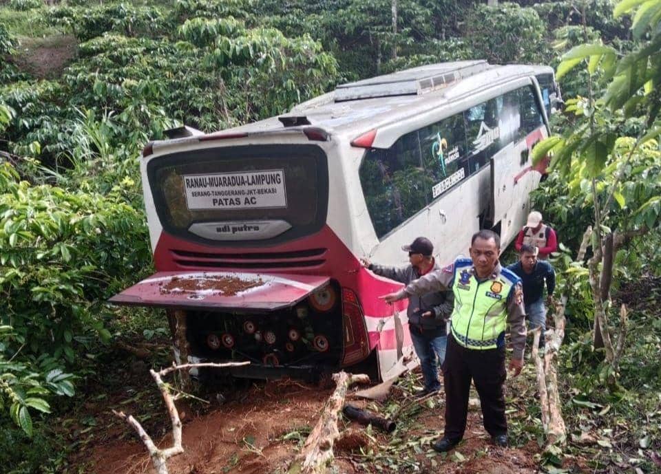 Bus Muatan 18 Penumpang Terjun ke Jurang 50 Meter di Lampung Barat