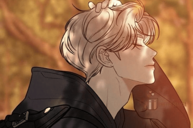 dok. Webtoon/ Operation: True Love