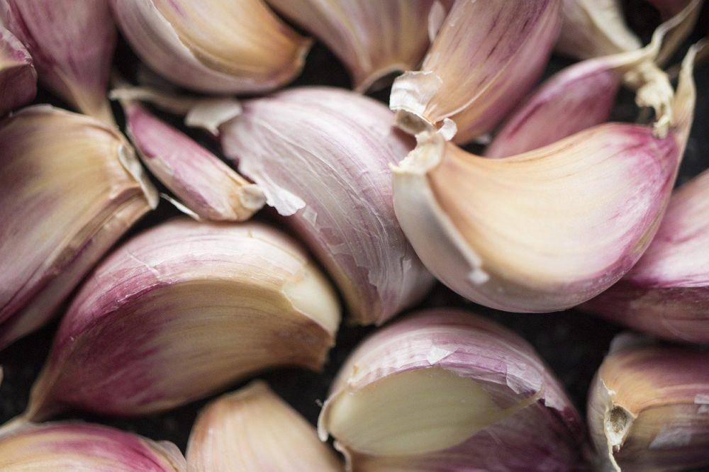 ilustrasi bawang merah (pixabay.com/Curious_Collectibles)