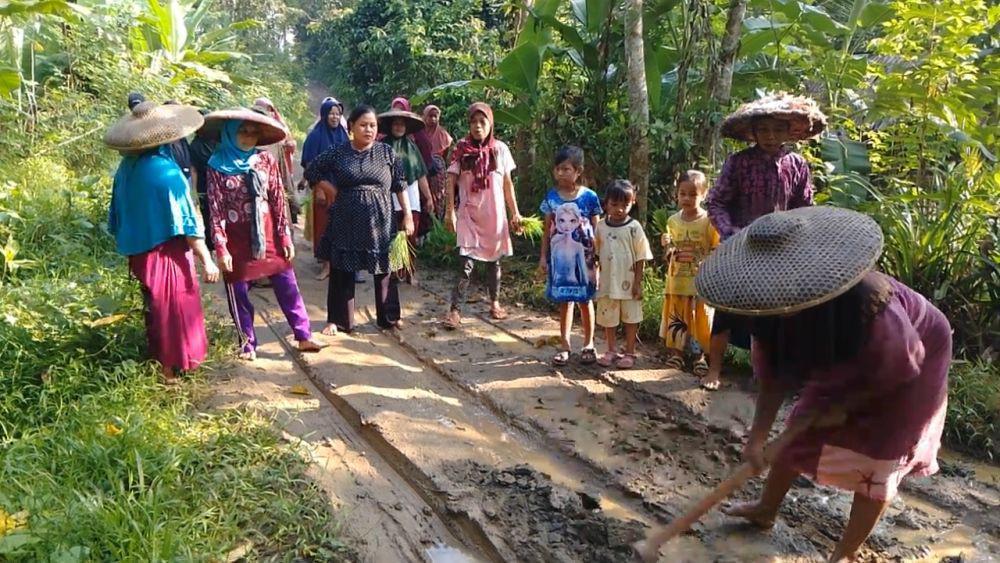 Jalan Rusak Menahun, Warga di Lebak Tanam Padi di Jalanan
