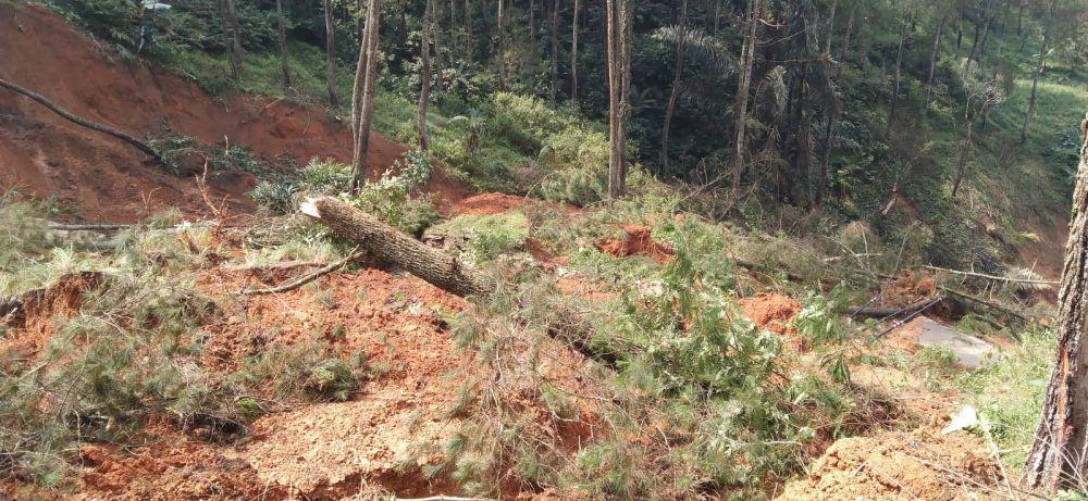 Jalur KBB-Cianjur via Selatan Lumpuh Tertutup Longsor