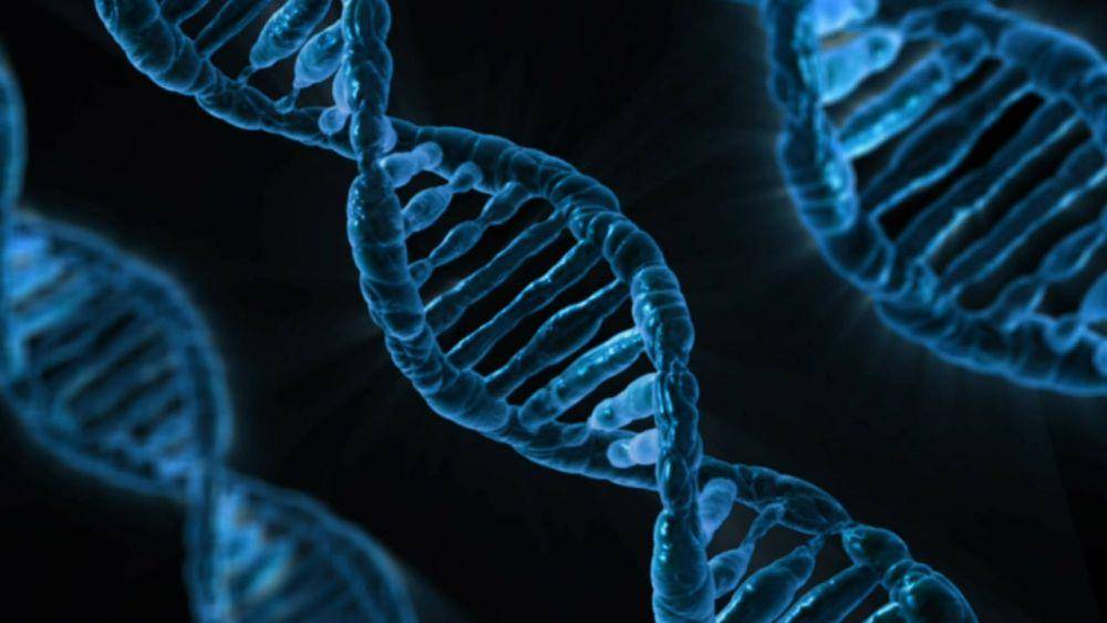 ilustrasi DNA dalam ilmu biologi  (Pixabay/Publuc Domain Pictures)