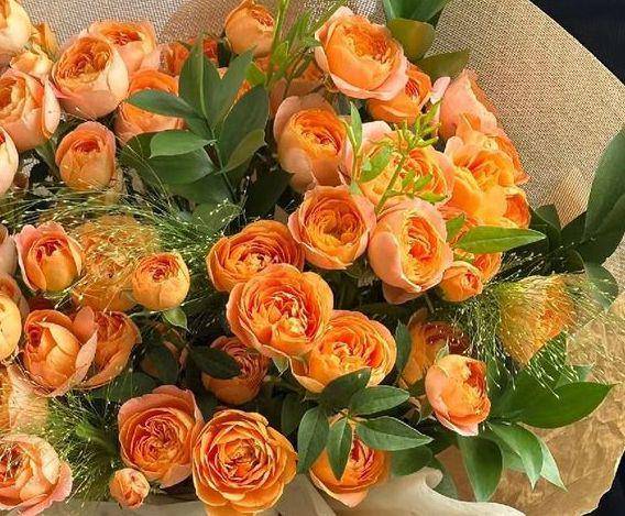 Begonia rose. (Instagram/you_tip_insta)