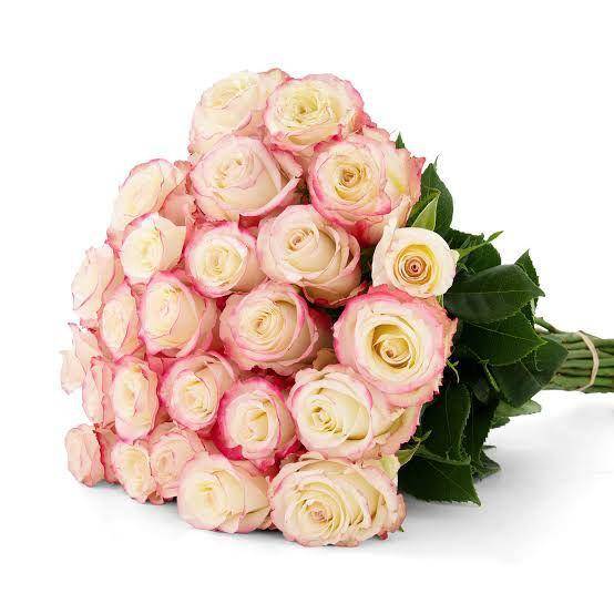 Sweetness rose. (Rosarium.me)