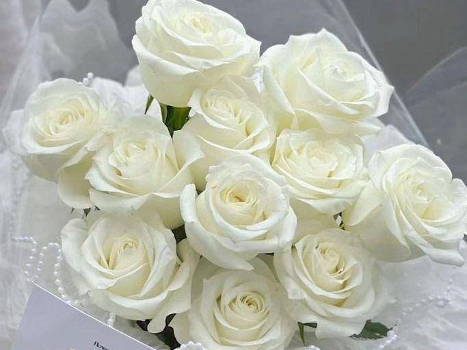 White rose. (Instagram/your_tip_insta)