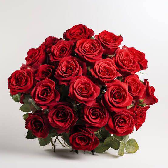 Fuego Rose. (Ubuy Indonesia)