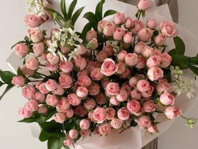 Baby Rose. (Pinterest)