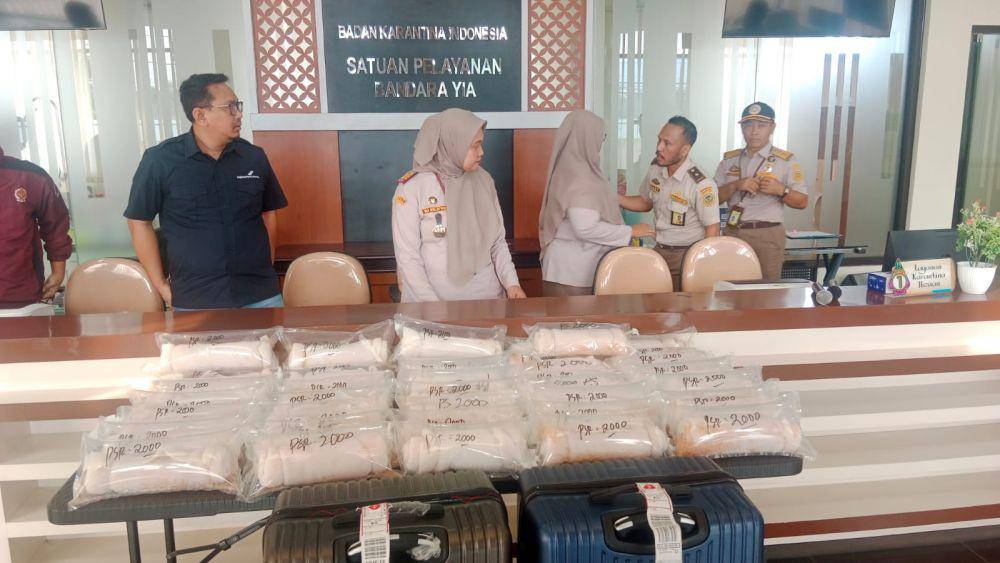 Penyelundupan ribuan benih BBL berhasil digagalkan di Yogyakarta Internasional Airport (Dokumentasi Istimewa)