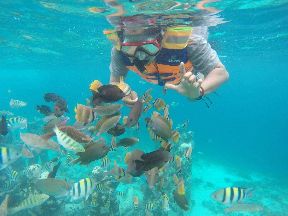 ilustrasi orang snorkeling (unsplash.com/galih821)