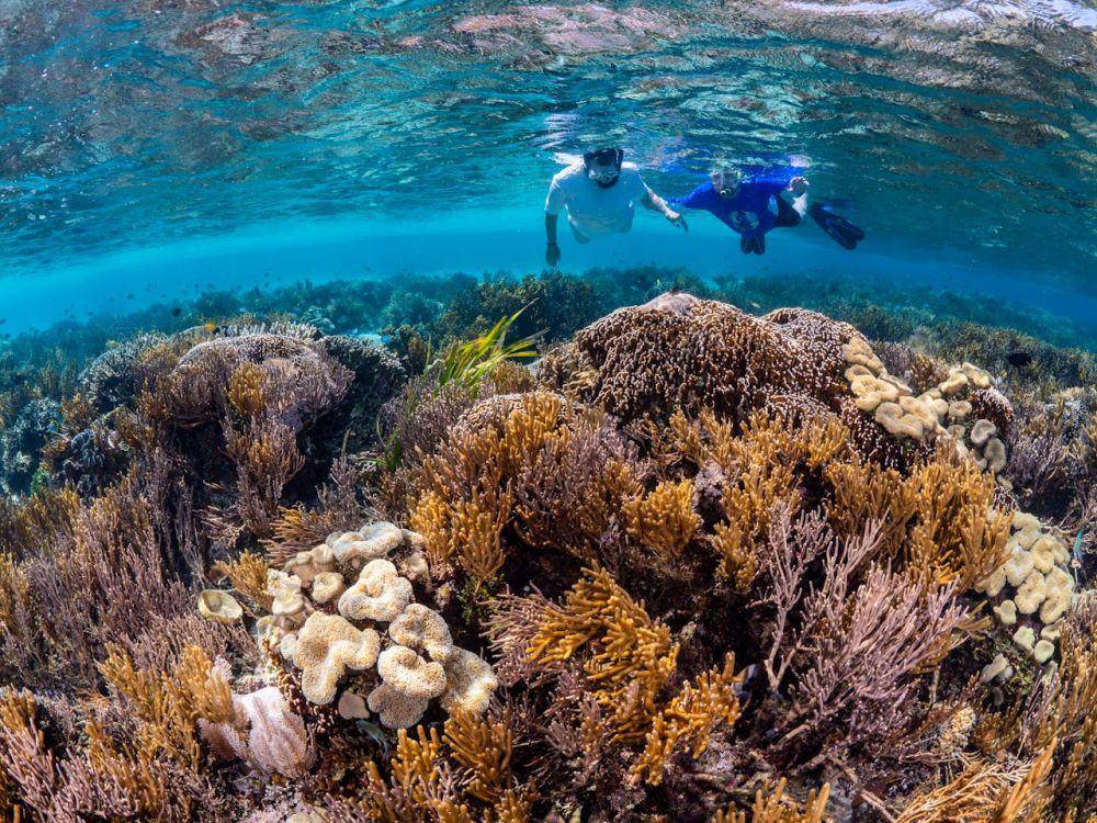 ilustrasi orang snorkeling (pexels.com/jermeen-john)