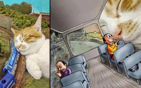 potret kucing tidur di atas maket (reddit.com/thattraindude72)